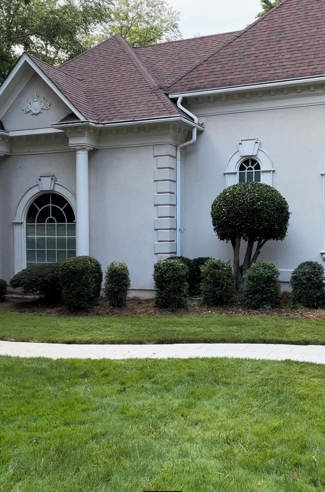 freshly trimmed hedges