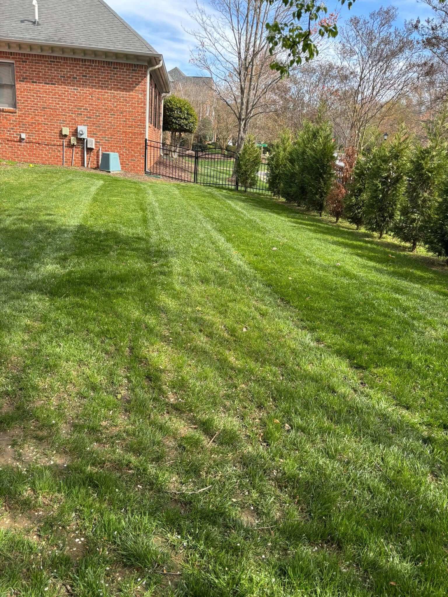 completed clean lawn